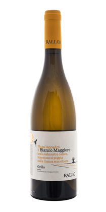 Grillo Bianco Maggiore, Bio