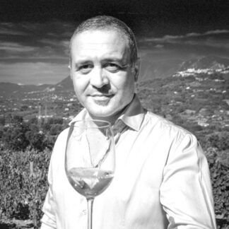 Torricino